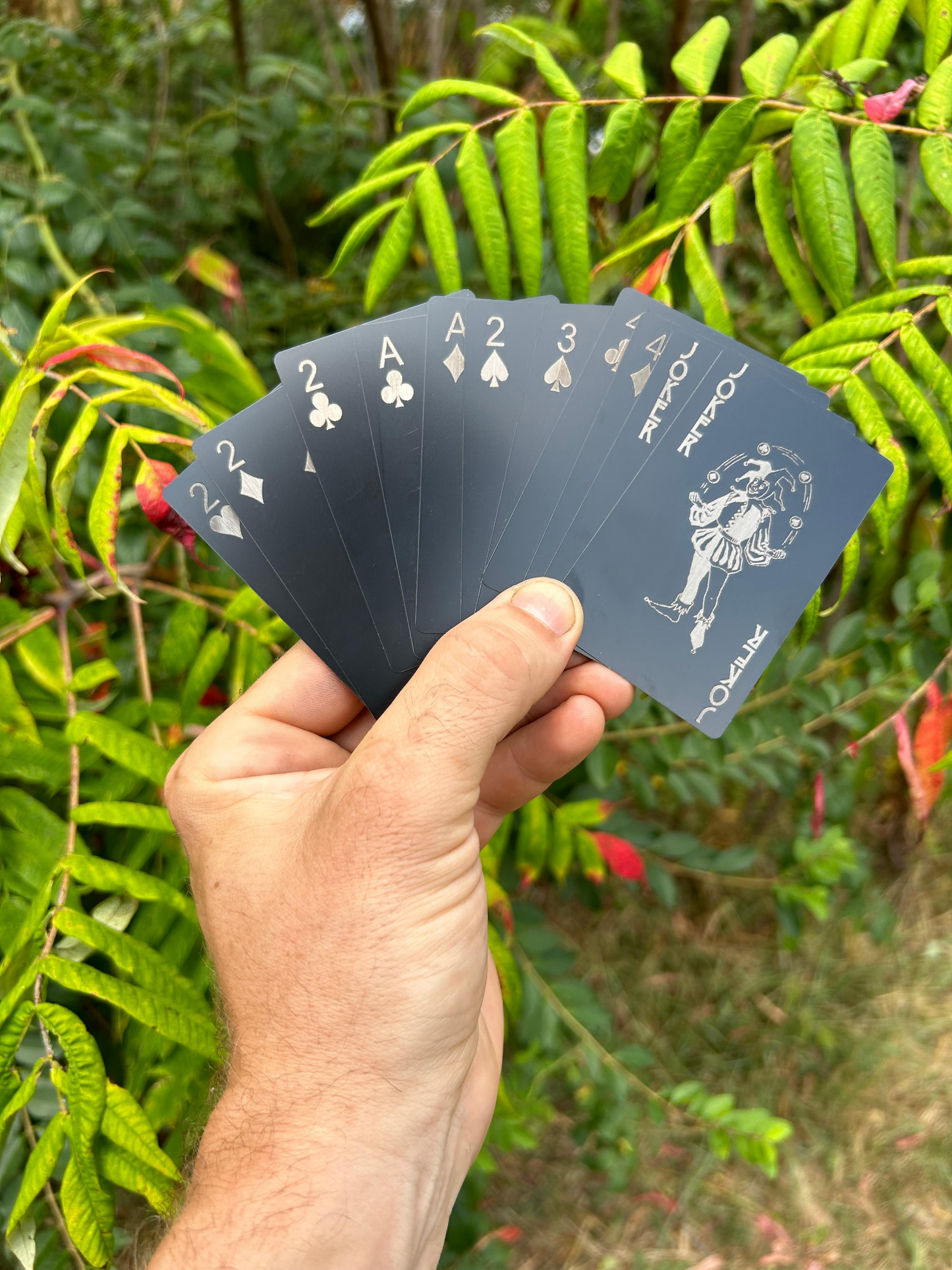Hand holding a deck of metal gaming cards with a nature background