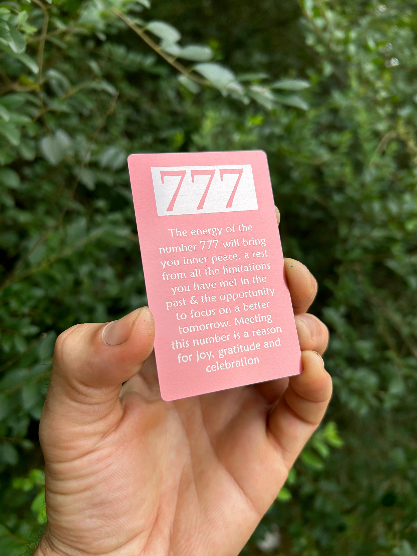 Hand holding a card with 'angel numbers text' and 777 against a green leafy background