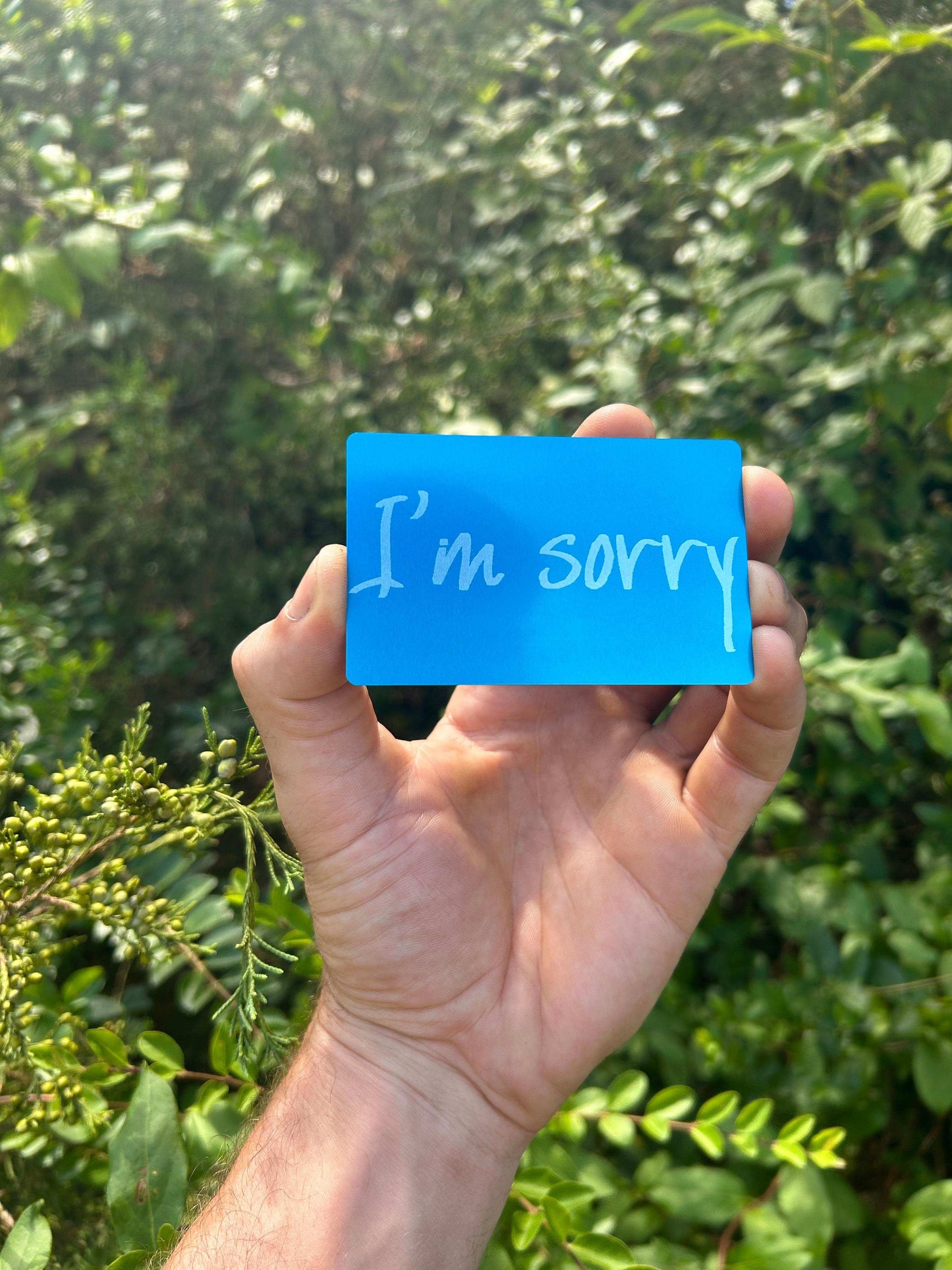 Hand holding a blue card with 'I'm sorry' text against a green leafy background