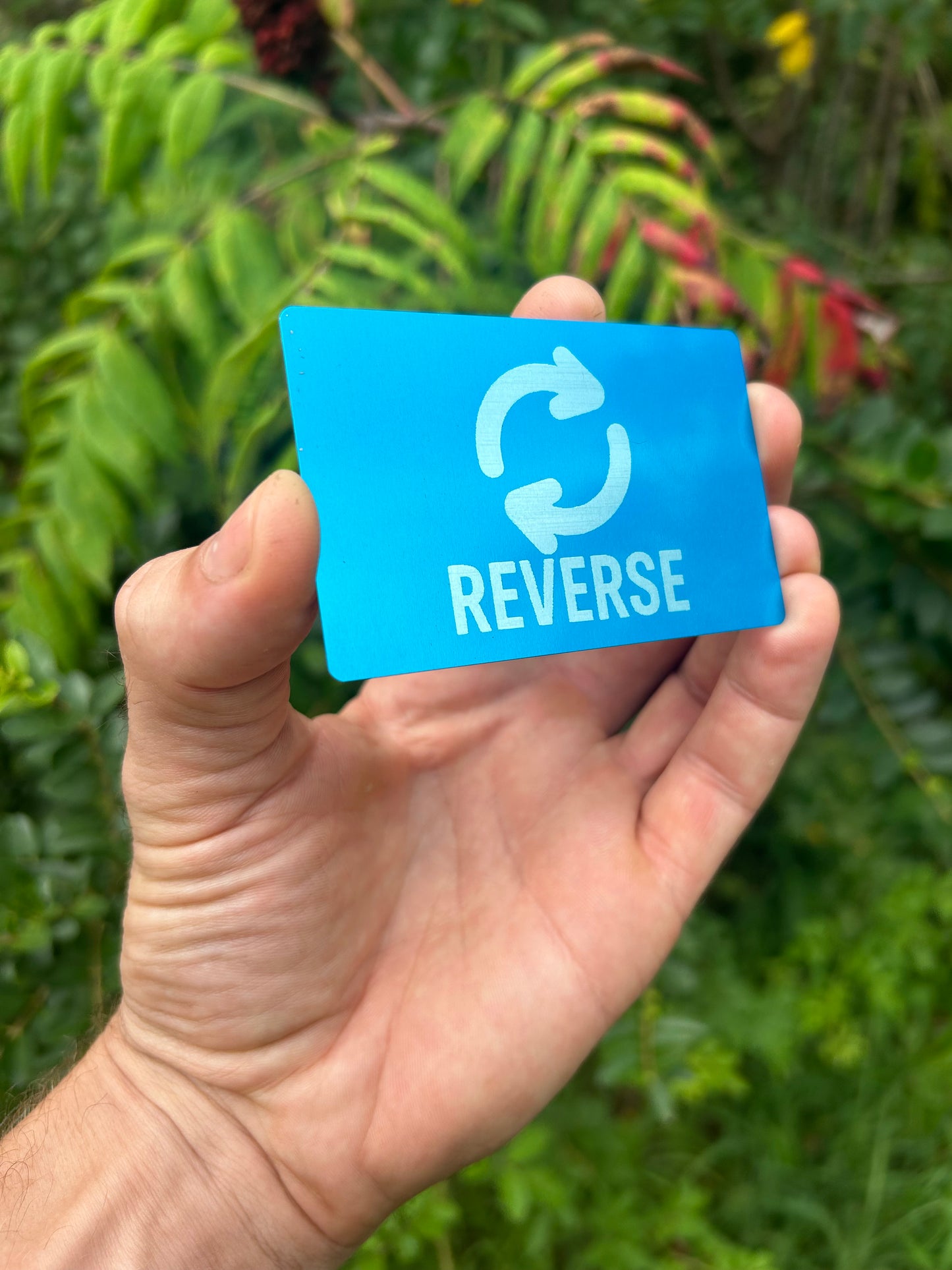 Hand holding a blue/silver card with 'REVERSE' and a reversal symbol against a green leafy background