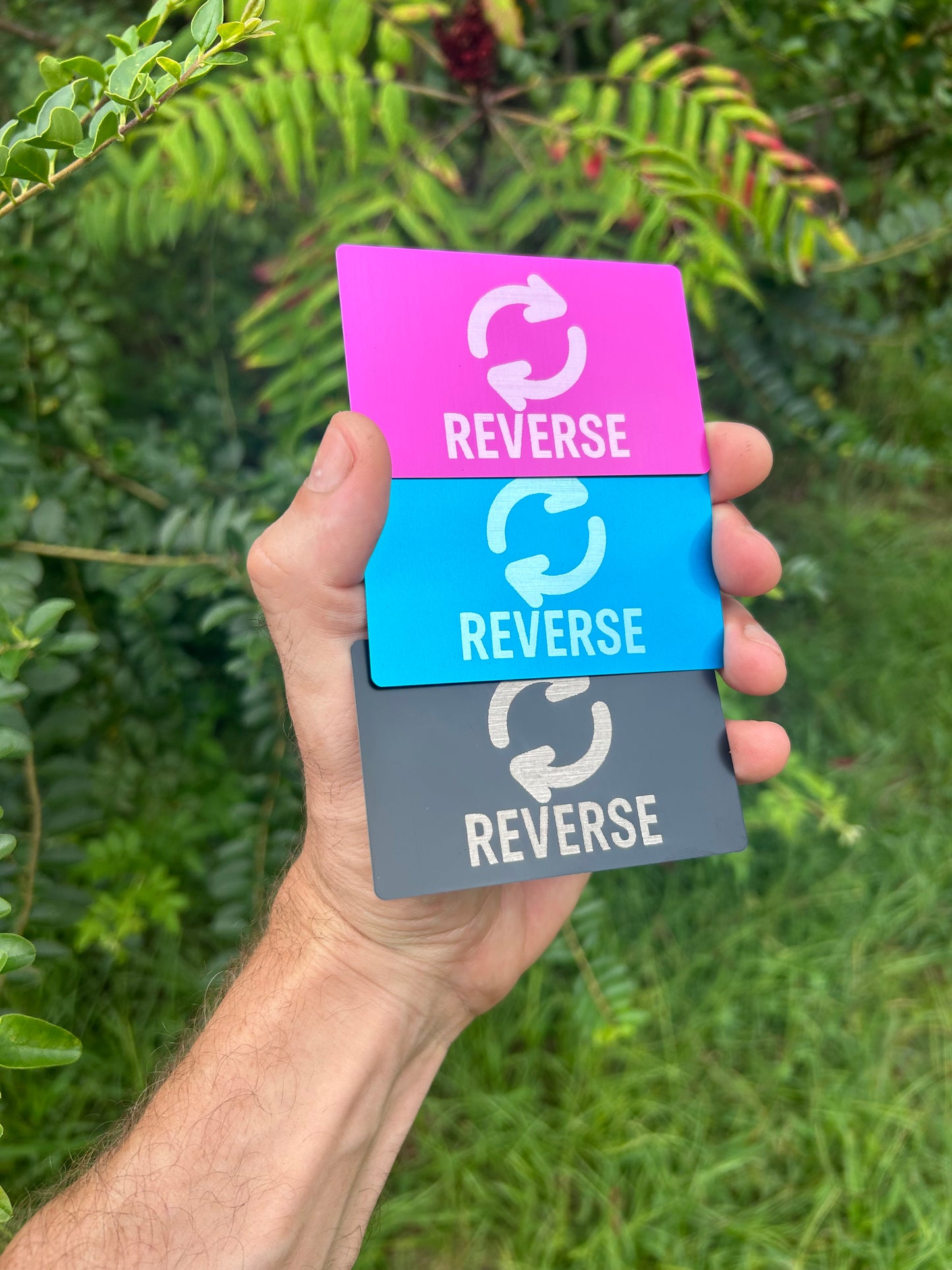 Three cards labeled 'REVERSE' held by a hand against a green leafy background