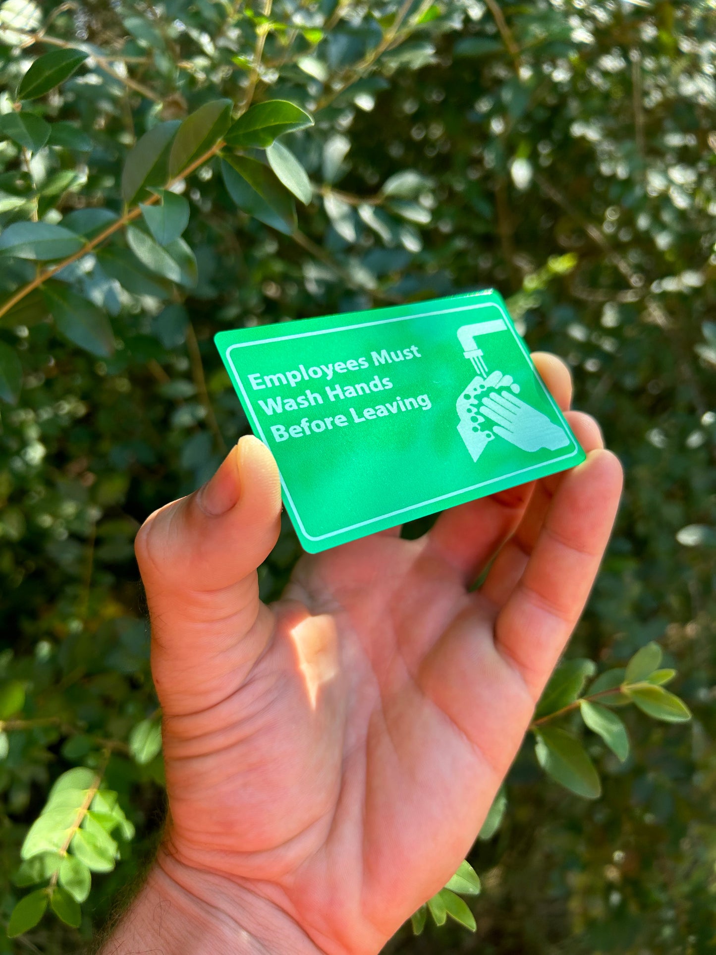 Hand holding a green sign with text and a graphic of a hand washing, against a blurred green leafy background.