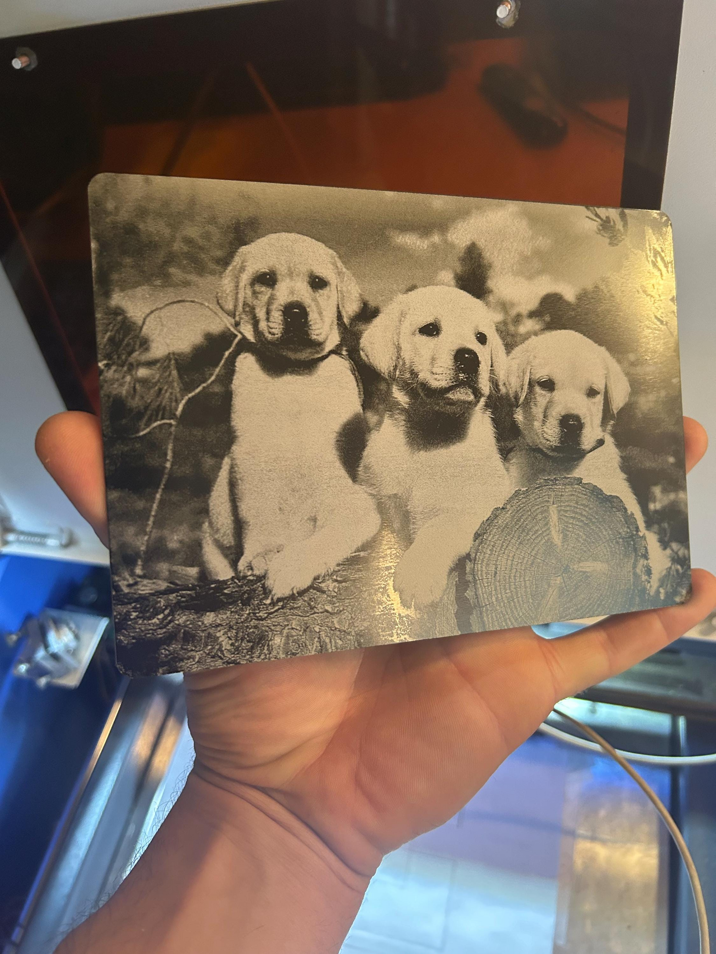 Vintage-style photo engraved in anodized aluminum 5x7" plaque of three dogs held by a person