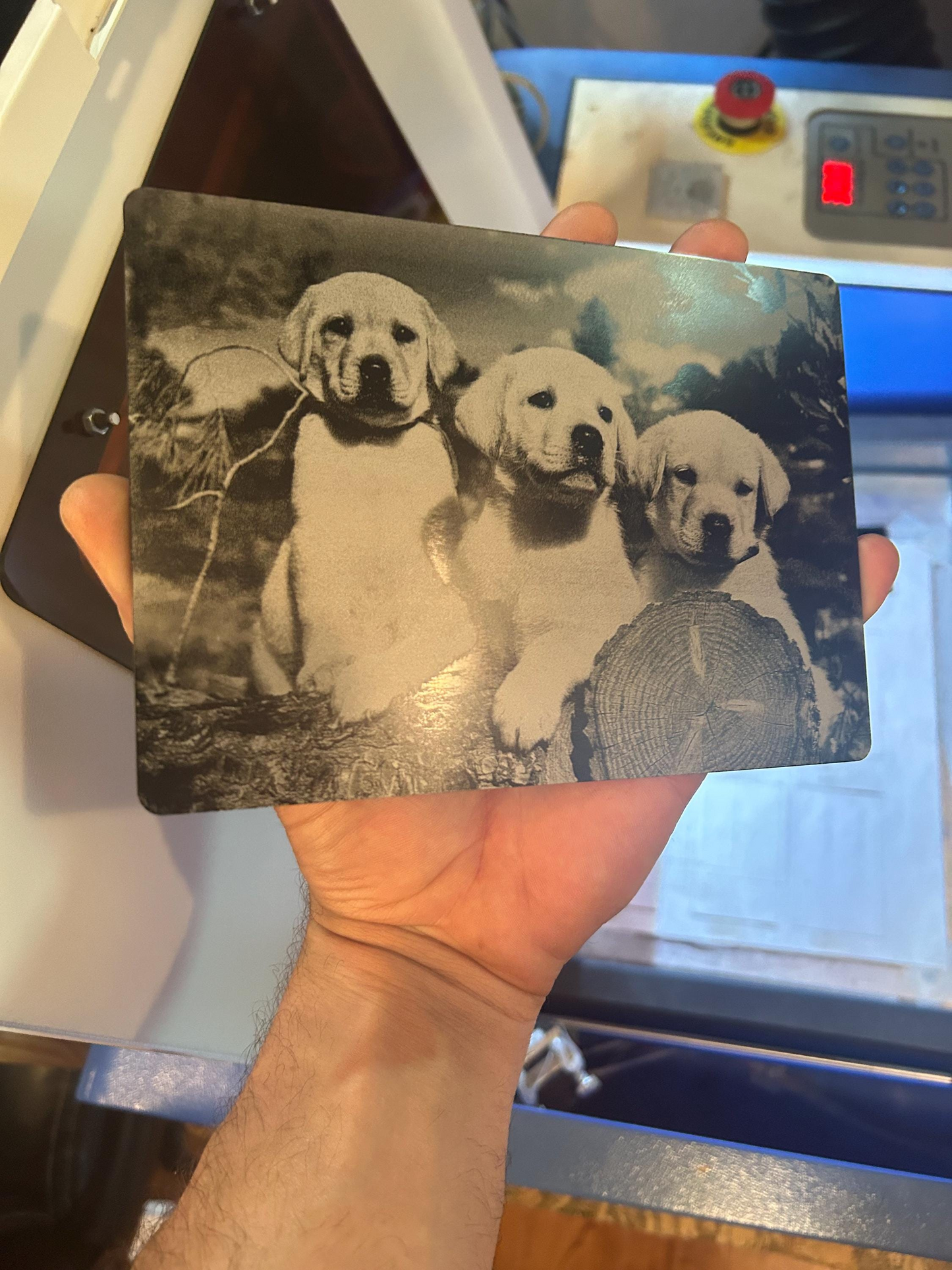 Three puppies in a vintage-style photo metal engraving plaque held by a hand.