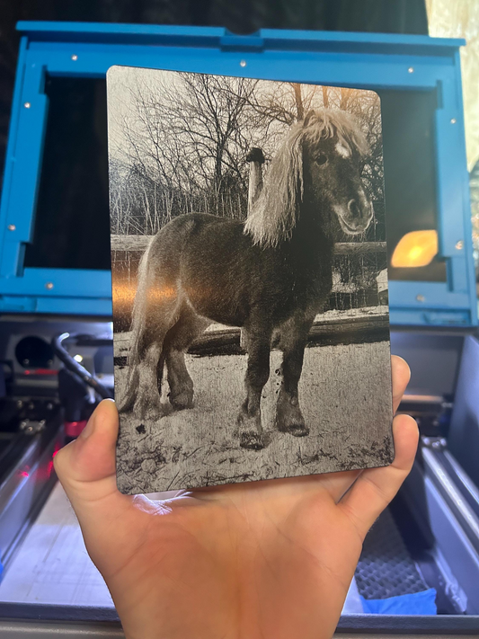Hand holding a metal 5x7 commemorative plaque of a horse in front of a blue machine