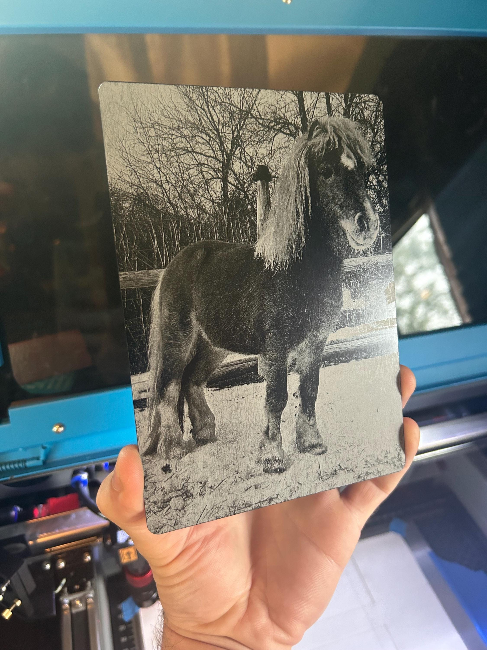 Person holding a metal pet portrait for mini horse, sized 5x7 in material anodized aluminum 