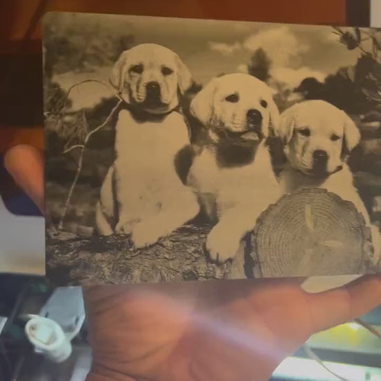 Close-up video of laser engraved metal 7x5 metal plaque with engraving of puppy dogs, rotating to show shine and detail