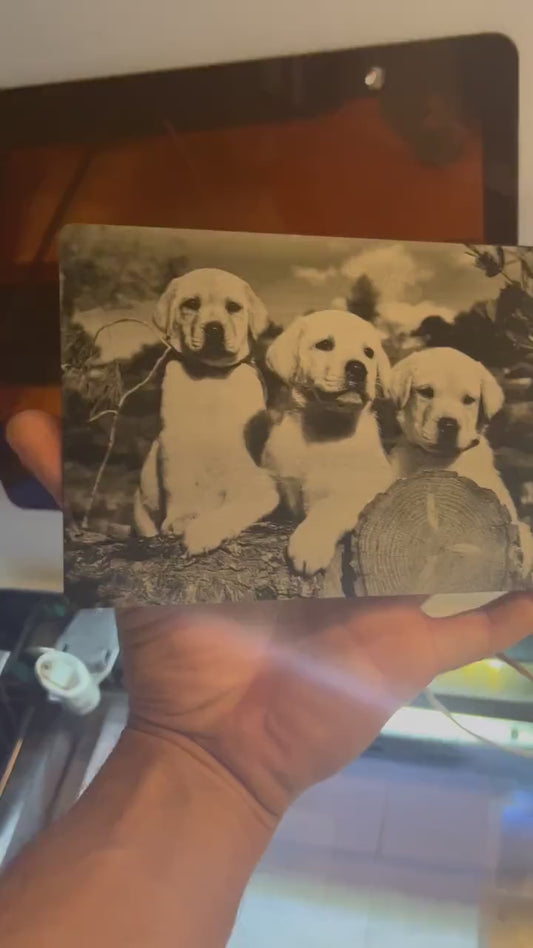 Close-up video of laser engraved metal 7x5 metal plaque with engraving of puppy dogs, rotating to show shine and detail